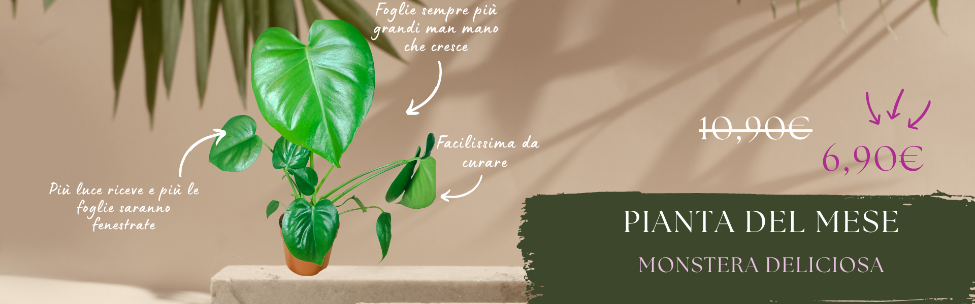 Pianta del mese