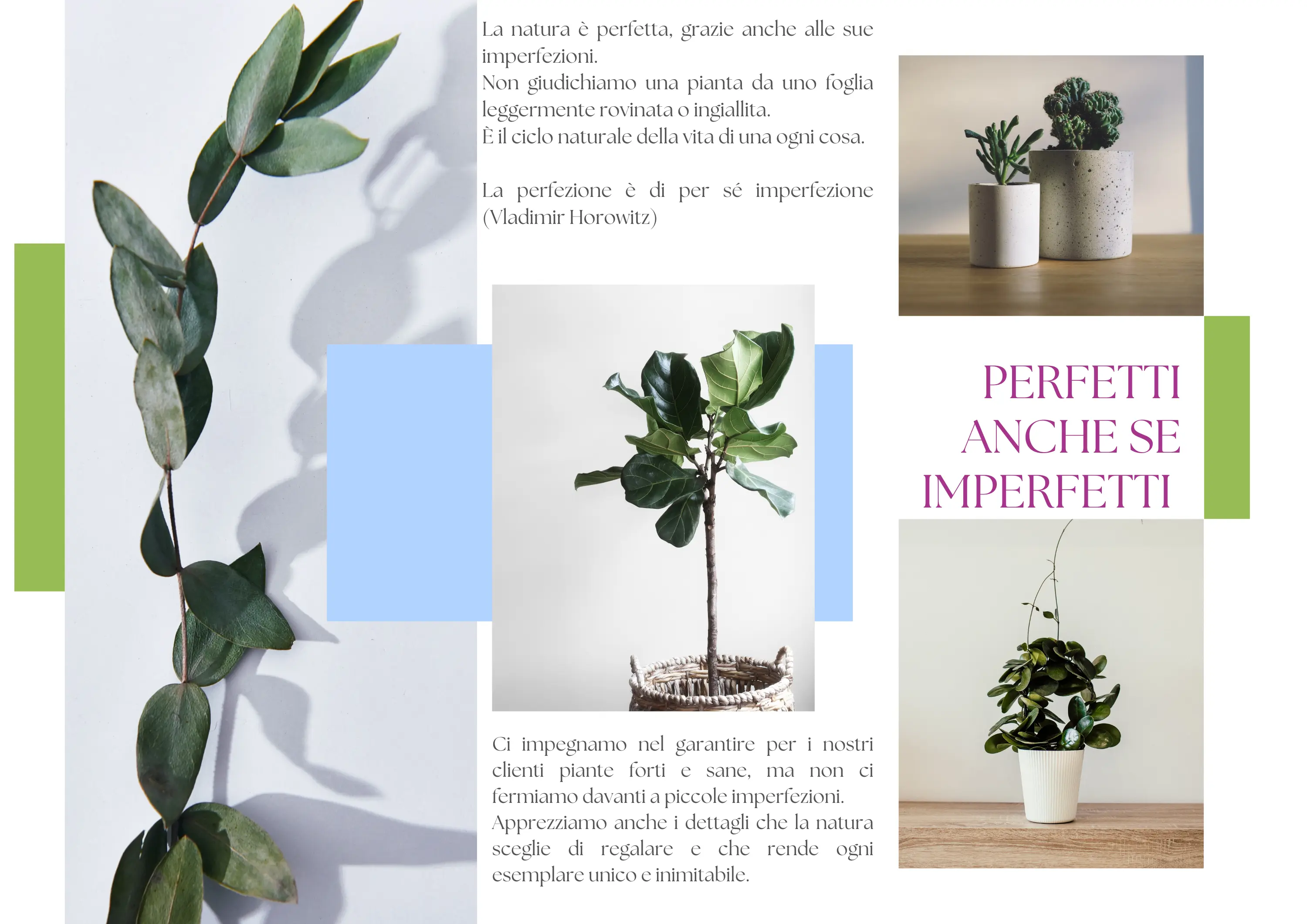 Piante perfette anche se imperfette