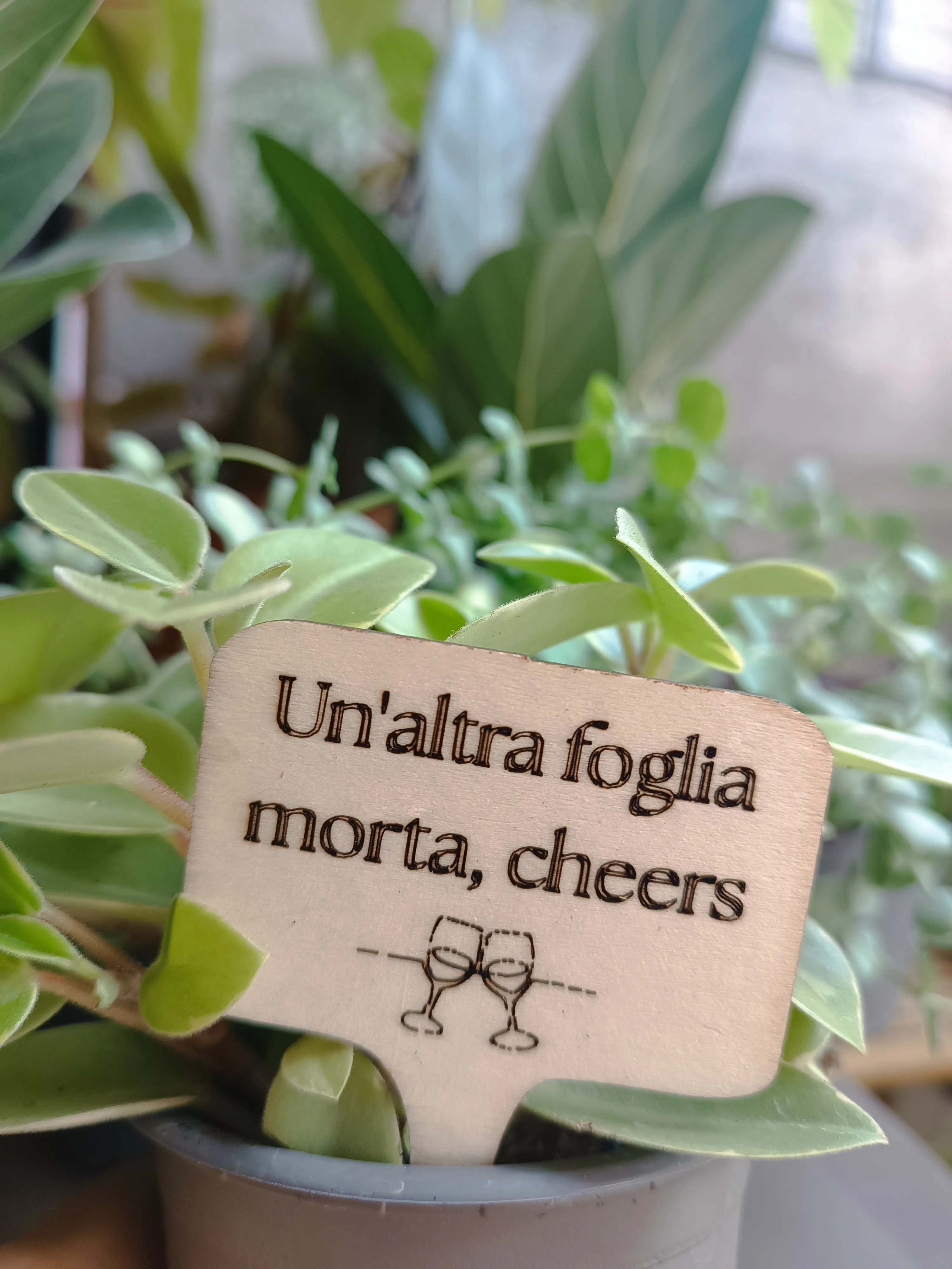 PlanTag "Un'altra foglia morta cheers"