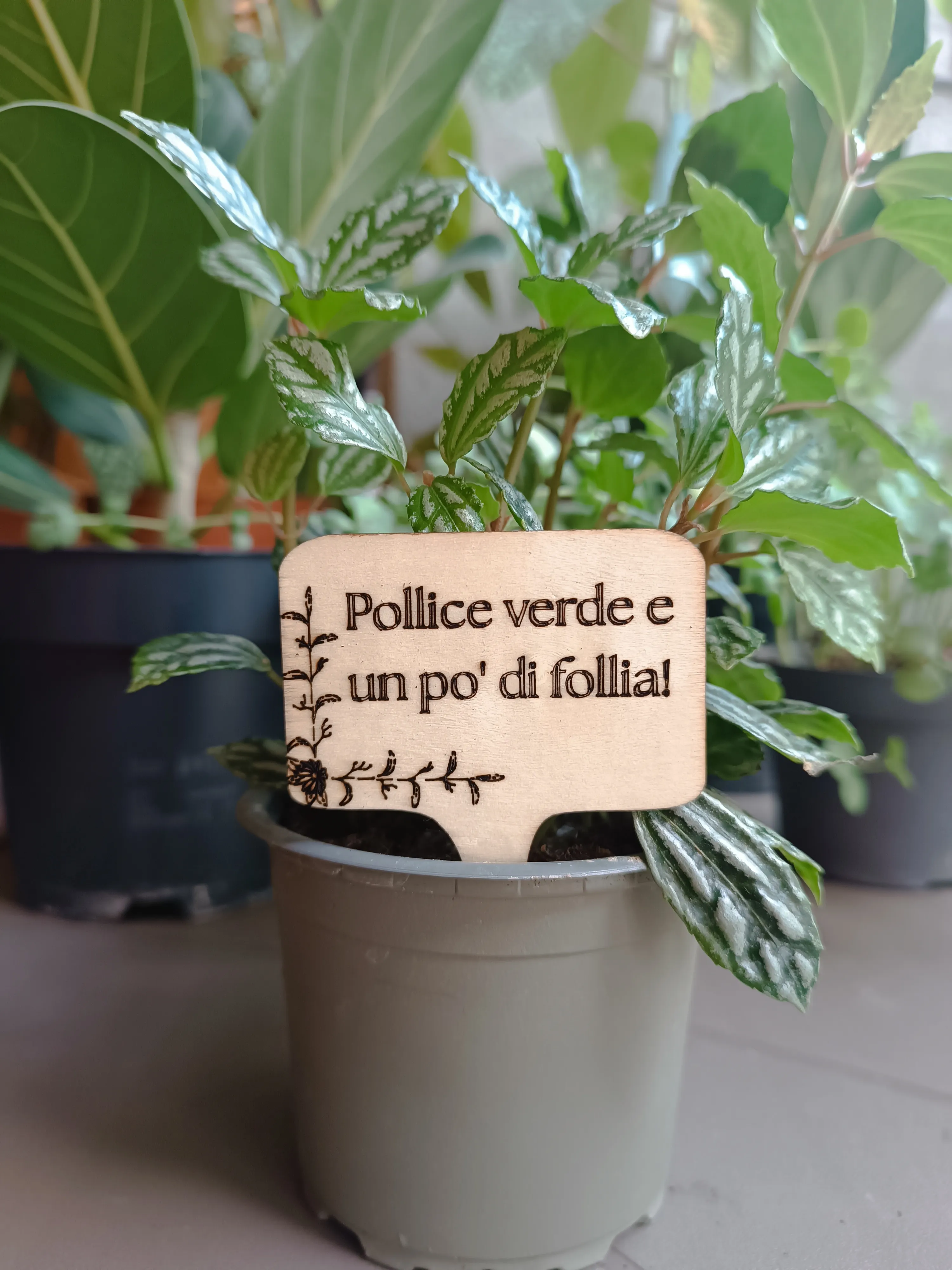 PlanTag "Pollice verde e un po' di follia"